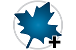 Free Download Maple 2021 for Windows