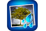 Free Download JixiPix Rainy Daze for Mac