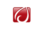 Free Download Synaptics TouchPad Driver 19.2