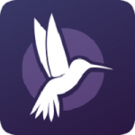 Free Download ACDSee Luxea Video Editor 6 Offline
