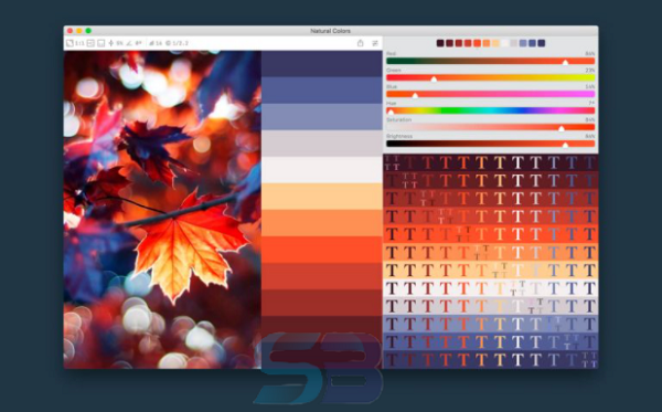 Download Color Palette from Image Pro 2.1 free