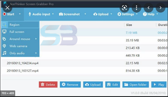 AceThinker Screen Grabber Pro free download