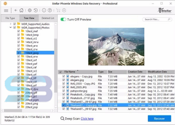 Stellar Data Recovery Professional 10 free download
