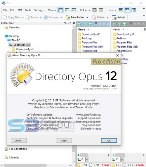 Directory Opus Pro 12 free download