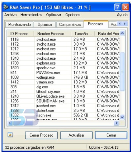 RAM Saver Professional Portable RAM Saver Professional Portable